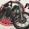 Hardcore Biker Japanese Geisha Sukajan T-shirt 6 Hardcore Biker Japanese Geisha Sukajan T-shirt 6